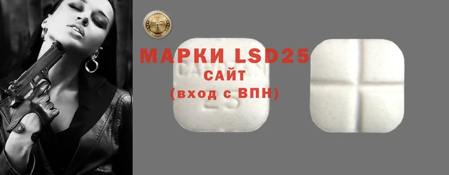Альфа ПВП Чердынь