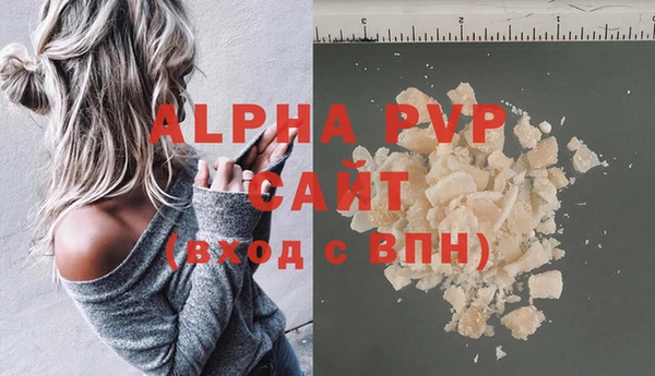 Альфа ПВП Чердынь