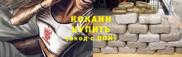 ешки Чекалин