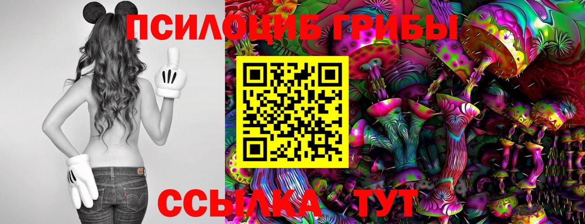 Псилоцибиновые грибы Cubensis Ногинск