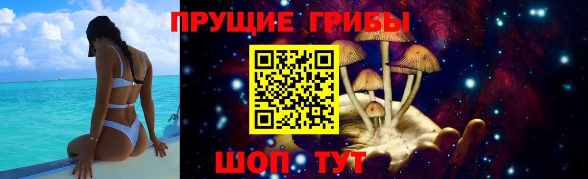 Псилоцибиновые грибы GOLDEN TEACHER  Ногинск  как найти наркотики  Псилоцибиновые грибы мицелий 